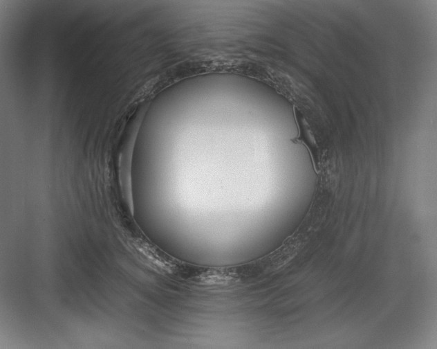 X0000082750756200702161959