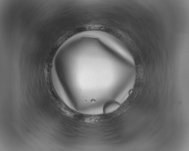 X0000082750761200702161959