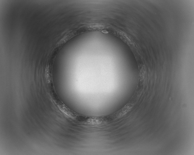X0000082750764200702161959