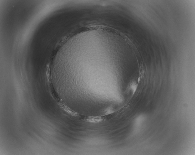 X0000082750767200702161959