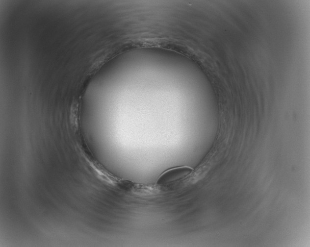 X0000082750768200702161959