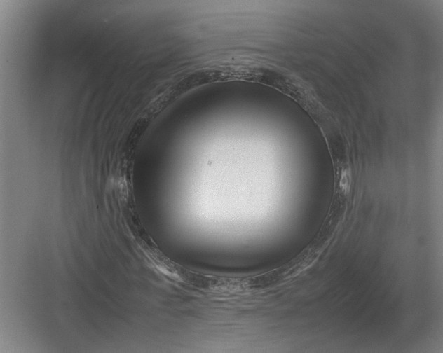 X0000082750771200702161958