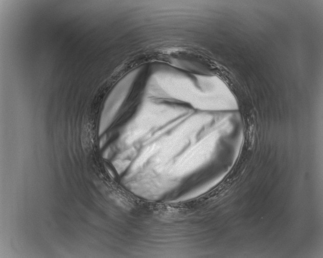 X0000082750772200702161958