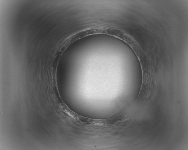 X0000082750773200702161958