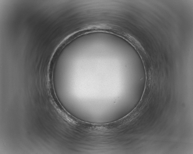 X0000082750784200702161958