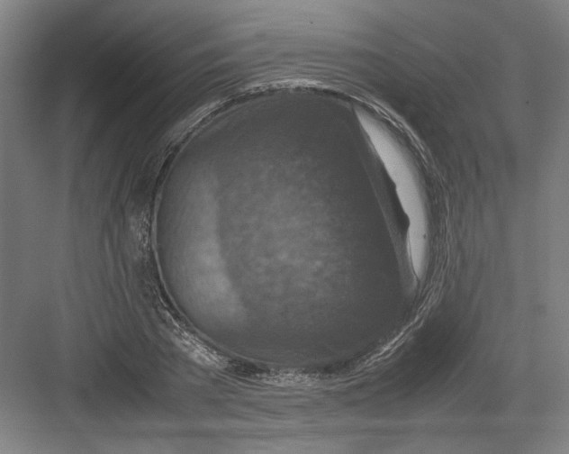 X0000082750785200702161958