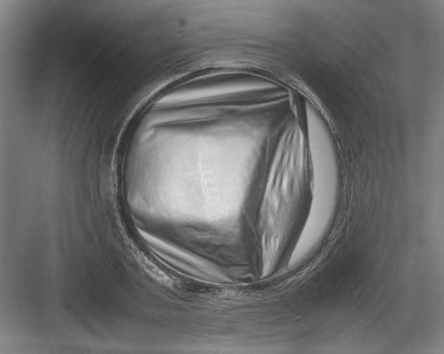 X0000082750787200702161958