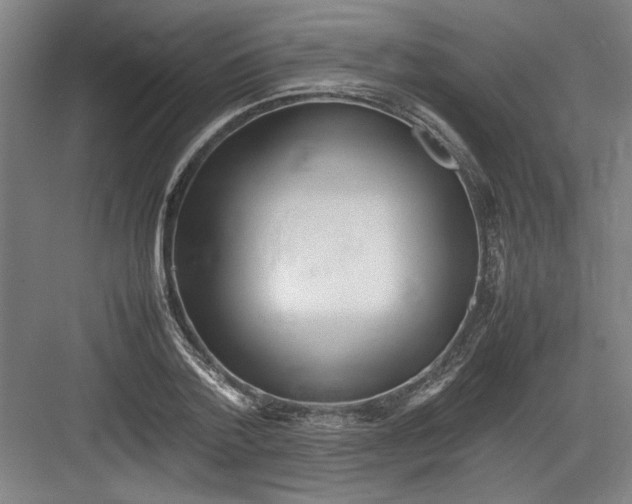 X0000082750788200702161958