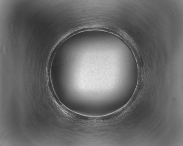 X0000082750789200702161958