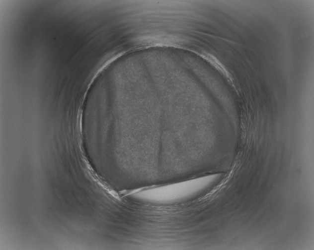 X0000082750790200702161958