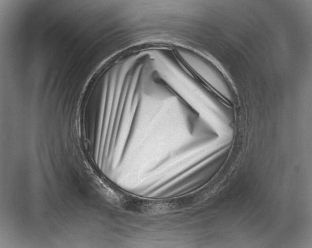 X0000082750791200702161958