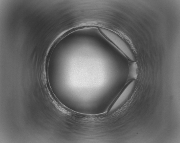 X0000082750792200702161958