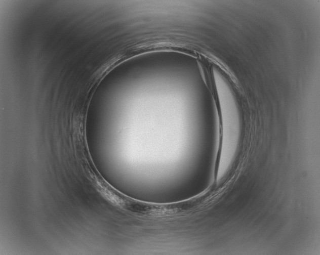 X0000082750793200702161958