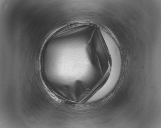 X0000082750795200702161958