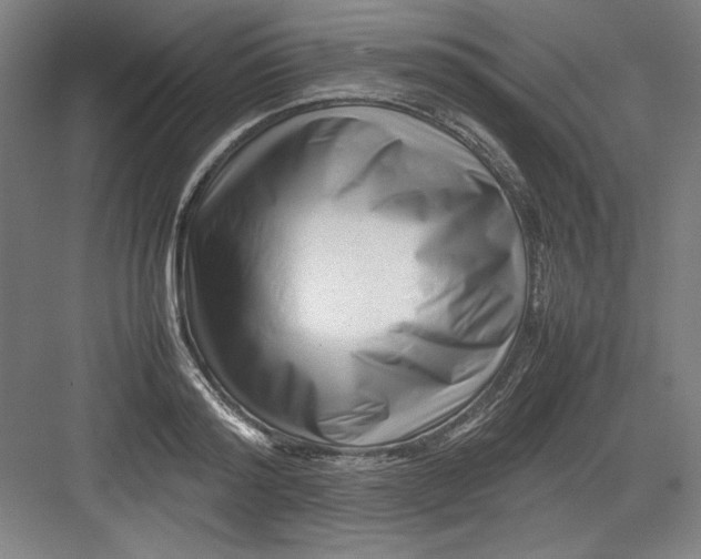 X0000082750796200702161958