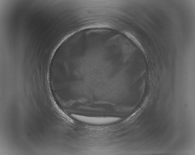 X0000082750797200702161958