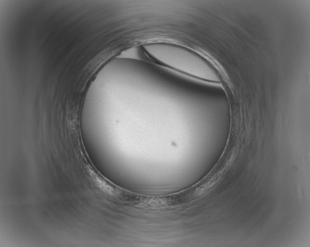 X0000082750801200702161958