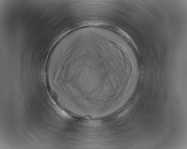 X0000082750802200702161958