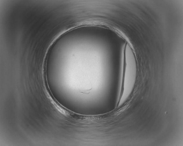 X0000082750803200702161958