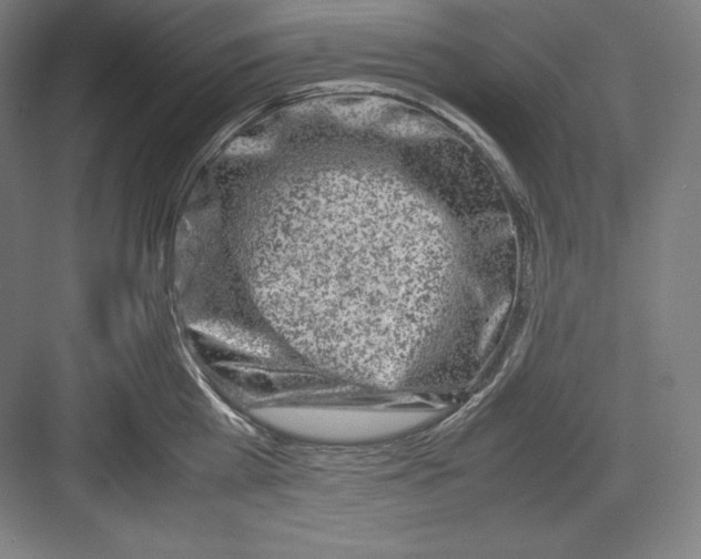 X0000082750809200702161958