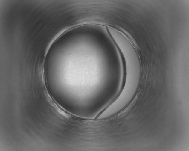 X0000082750812200702161958
