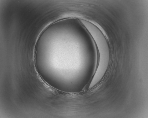 X0000082750815200702161958