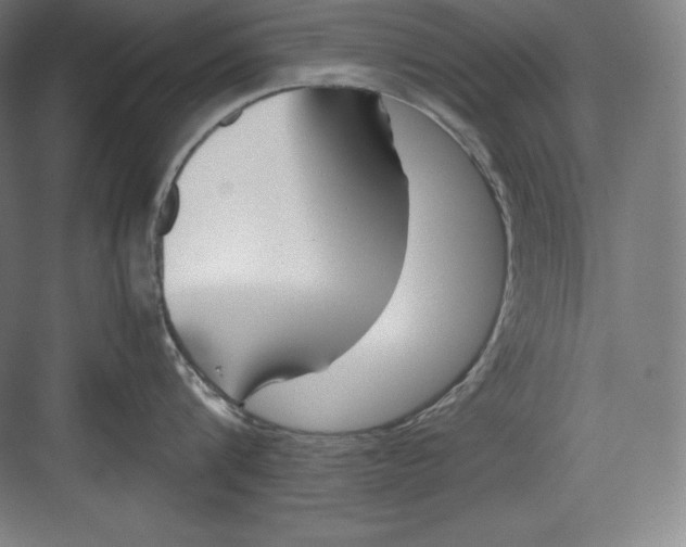 X0000082750816200702161958