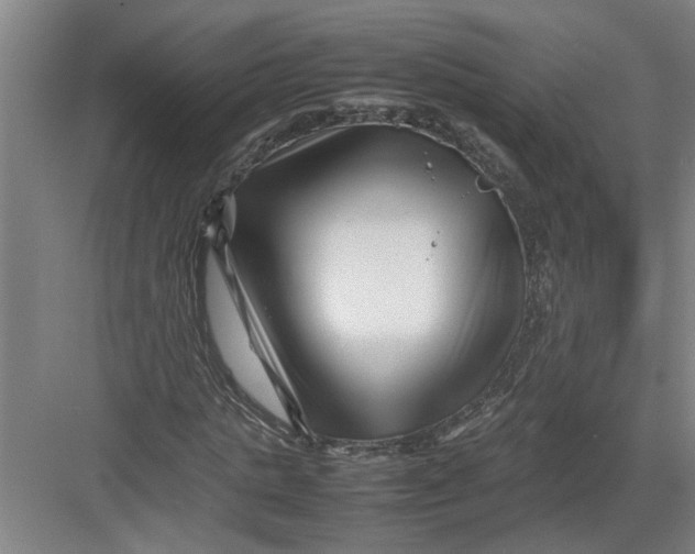 X0000082750821200702161957