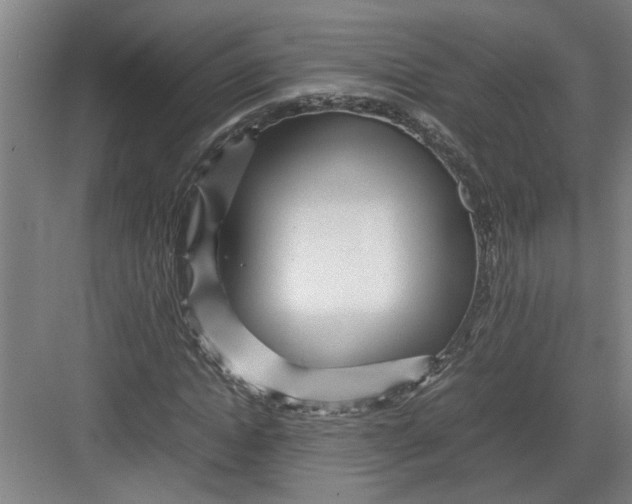 X0000082750822200702161957