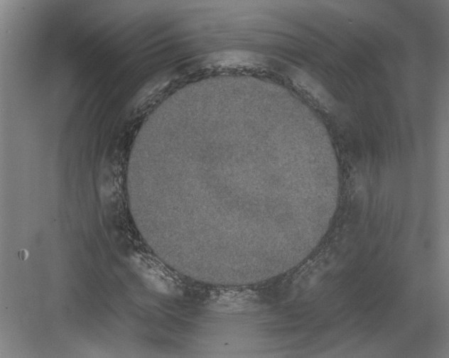 X0000082750824200702161957