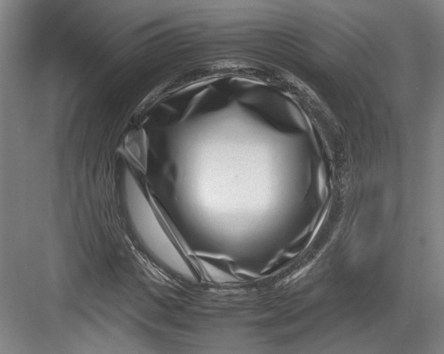 X0000082750825200702161957