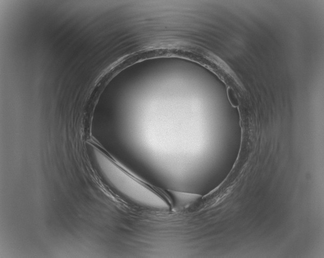 X0000082750826200702161957