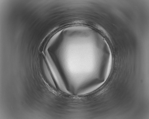 X0000082750827200702161957
