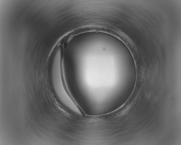 X0000082750830200702161957