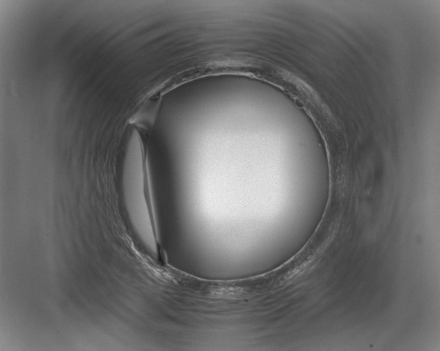 X0000082750833200702161957