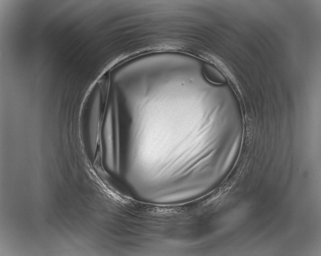 X0000082750835200702161957