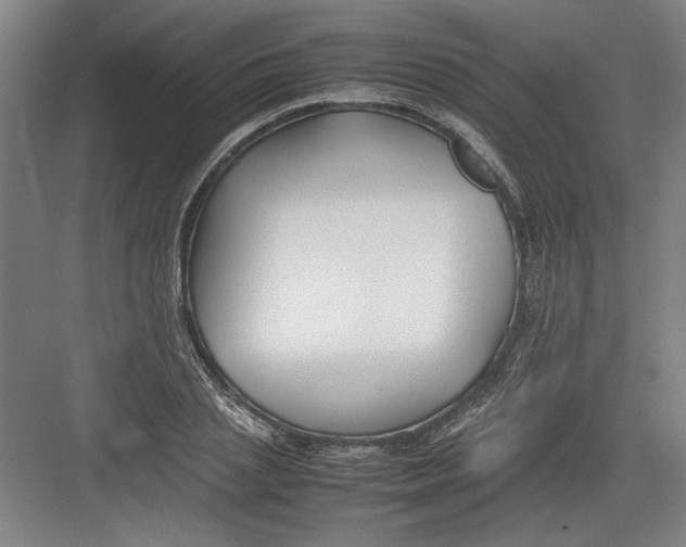 X0000082750837200702161957