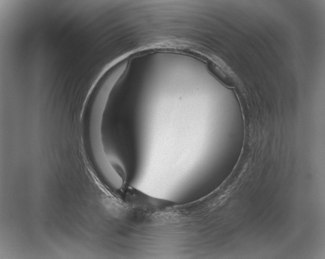 X0000082750838200702161957