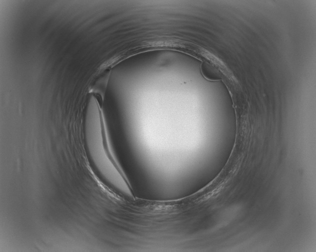 X0000082750841200702161957
