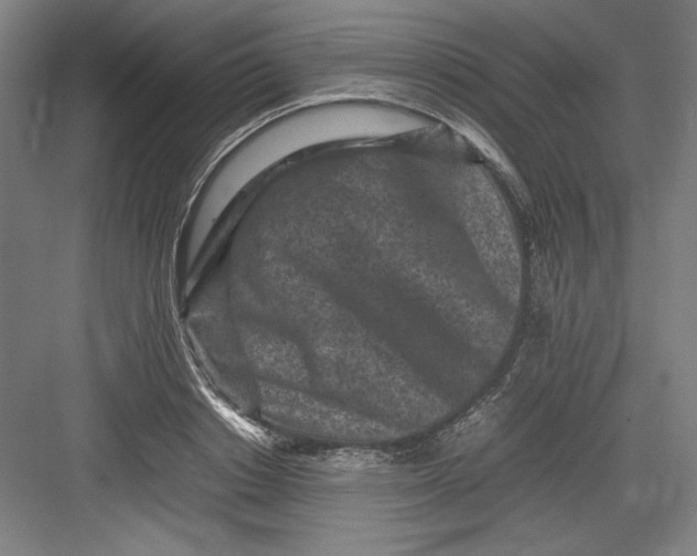 X0000082750842200702161957