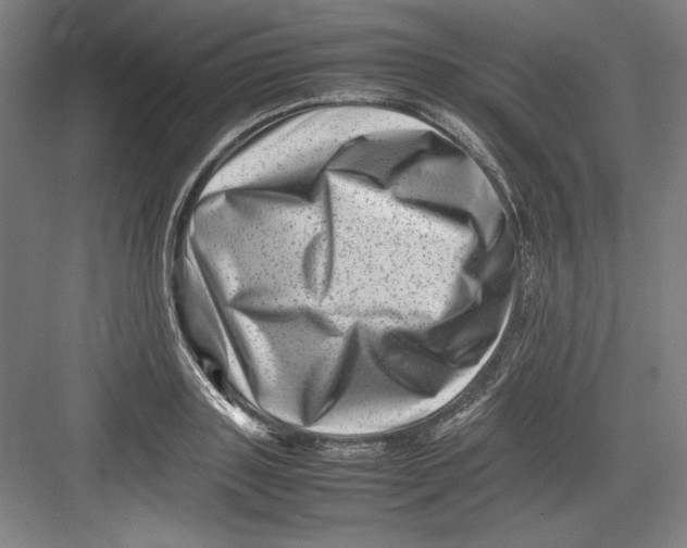 X0000082750843200702161957