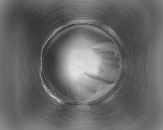 X0000082750844200702161957