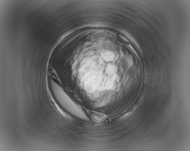 X0000082750845200702161957
