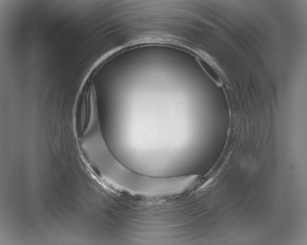 X0000082750846200702161957
