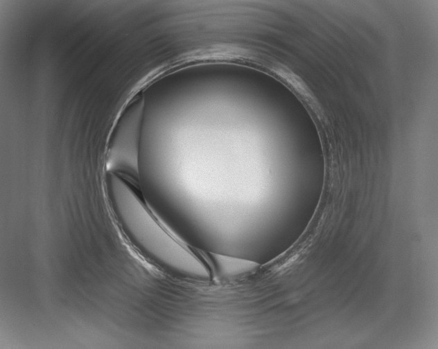 X0000082750850200702161957