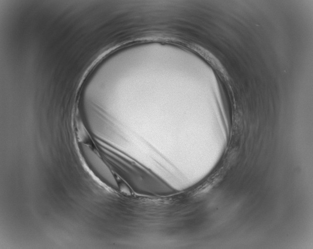 X0000082750855200702161958