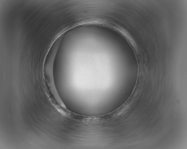 X0000082750858200702161958