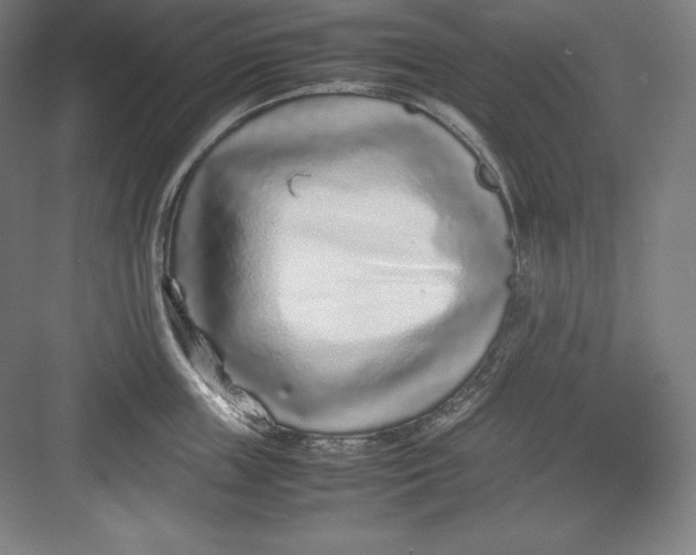 X0000082750859200702161958