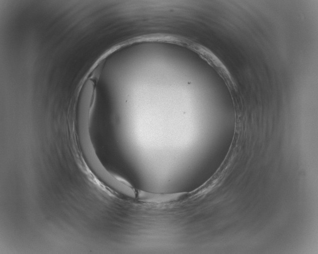 X0000082750860200702161958