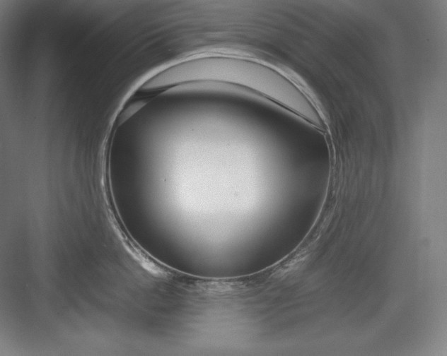 X0000082750862200702161958